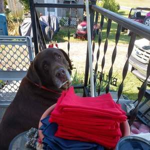 Meet your Posher, Diana